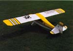 Cit-1