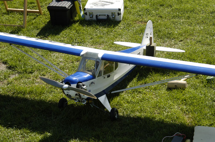 PiperJ-3-3