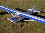 PiperJ-3